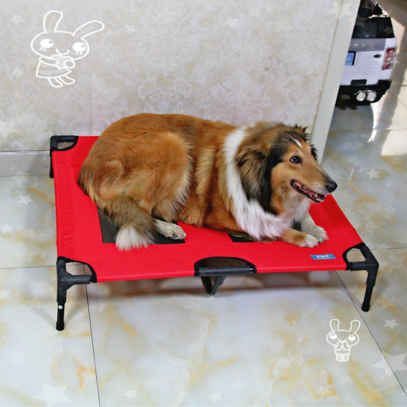 foldable dog bed